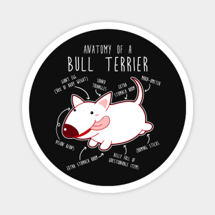 Bull Terrier Dog Anatomy Magnet